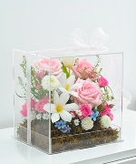 Hộp hoa tươi 16106