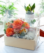 Hộp hoa tươi 3154