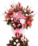 Hoa tươi màu đỏ 2091