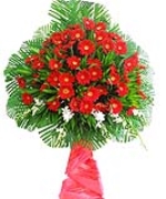 Hoa tươi màu đỏ 4047