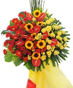 Hoa tươi màu đỏ 5774