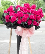 Hoa tươi màu hồng 3396