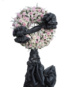 Hoa tươi màu hồng 9451