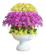 Hoa tươi màu tím 12693