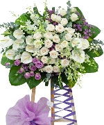 Hoa tươi màu trắng 11616