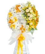 Hoa tươi màu trắng 12500