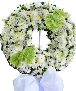 Hoa tươi màu trắng 2123