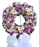 Hoa tươi màu trắng 3064