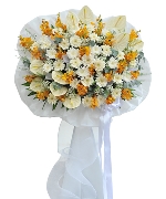 Hoa tươi màu trắng 4344
