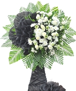 Hoa tươi màu trắng 4371