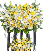 Hoa tươi màu trắng 4608