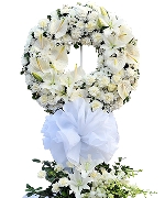 Hoa tươi màu trắng 5405