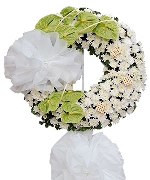 Hoa tươi màu trắng 6014