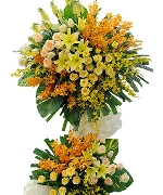 Hoa tươi màu vàng 5644