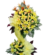 Hoa tươi màu vàng 6905