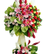 Hoa tươi màu xanh 2994