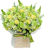 Hoa tươi màu xanh 8038