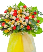 Hoa tươi nhiều màu 13199