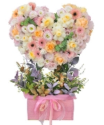 Hoa tươi nhiều màu 6026