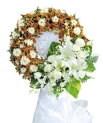 Hoa tươi nhiều màu 9473