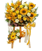 Hoa Hướng Dương 13401