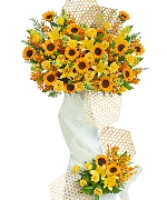 Hoa Hướng Dương 14371