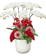 Hoa yêu thương 14791