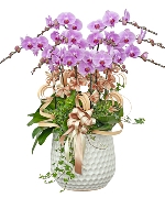 Hoa yêu thương 14924