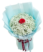 Ngày phụ nữ 13036