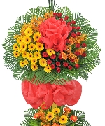 Ngày thầy thuốc 3967