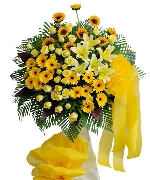 Ngày thầy thuốc 4369
