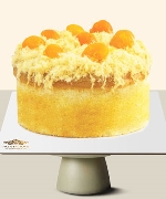 Socola & bánh kem 12736